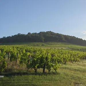 La Maison Du Vigneron Hébergement de vacances Ternand